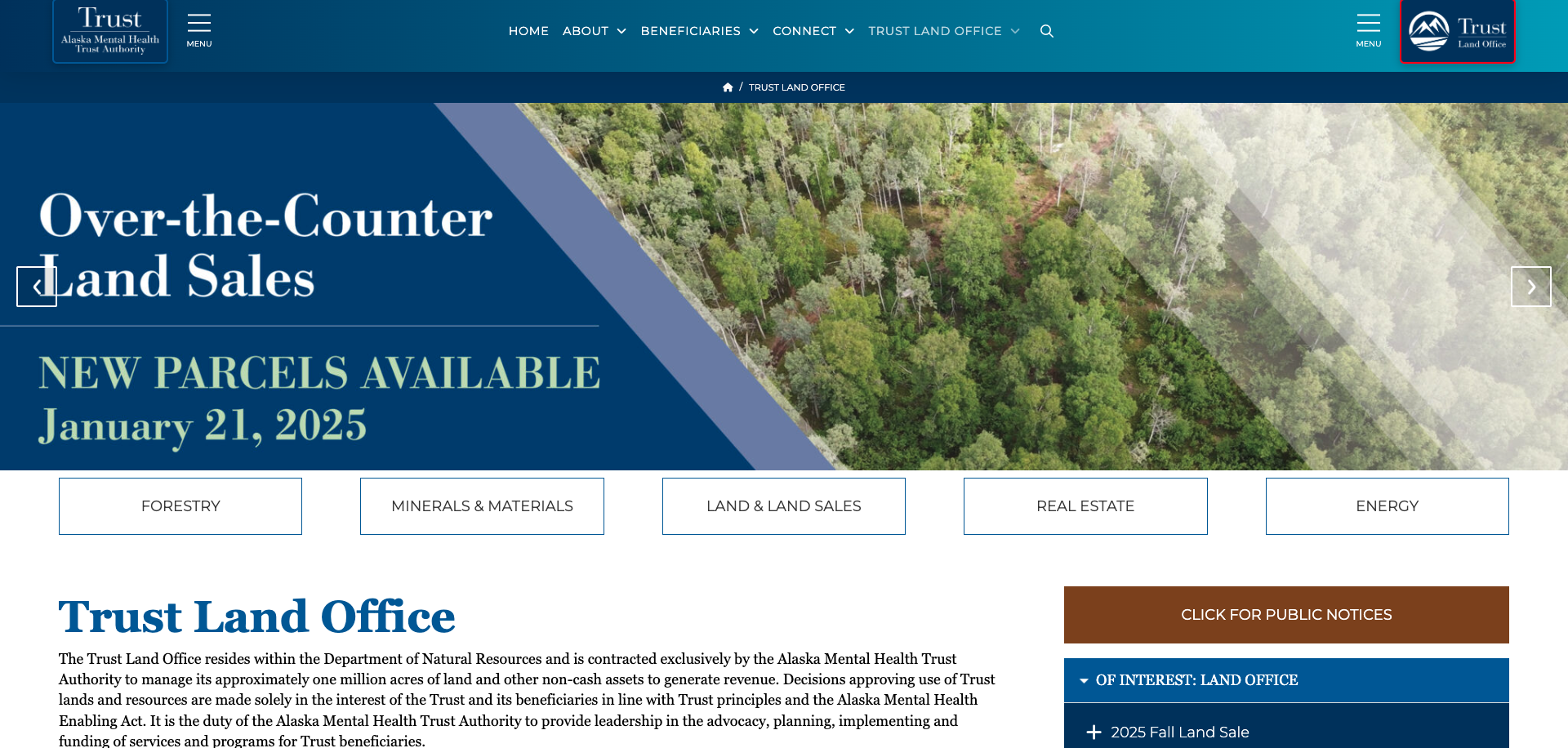 Screenshot Thumbnail