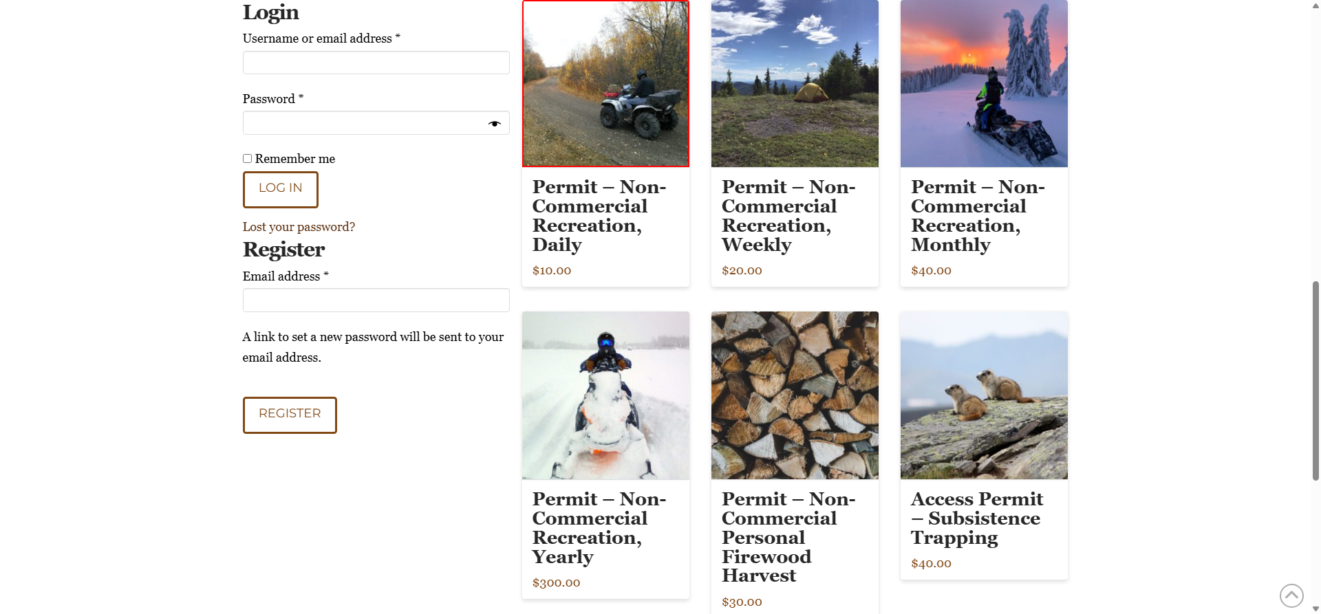 Screenshot Thumbnail