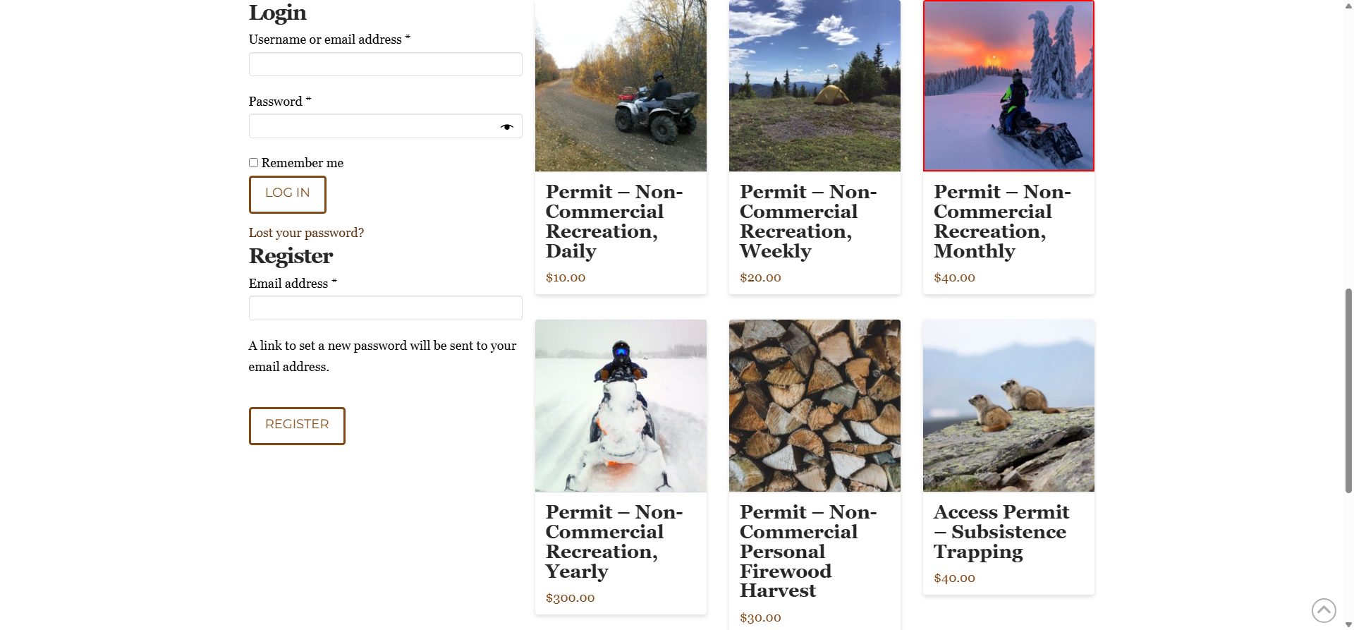 Screenshot Thumbnail